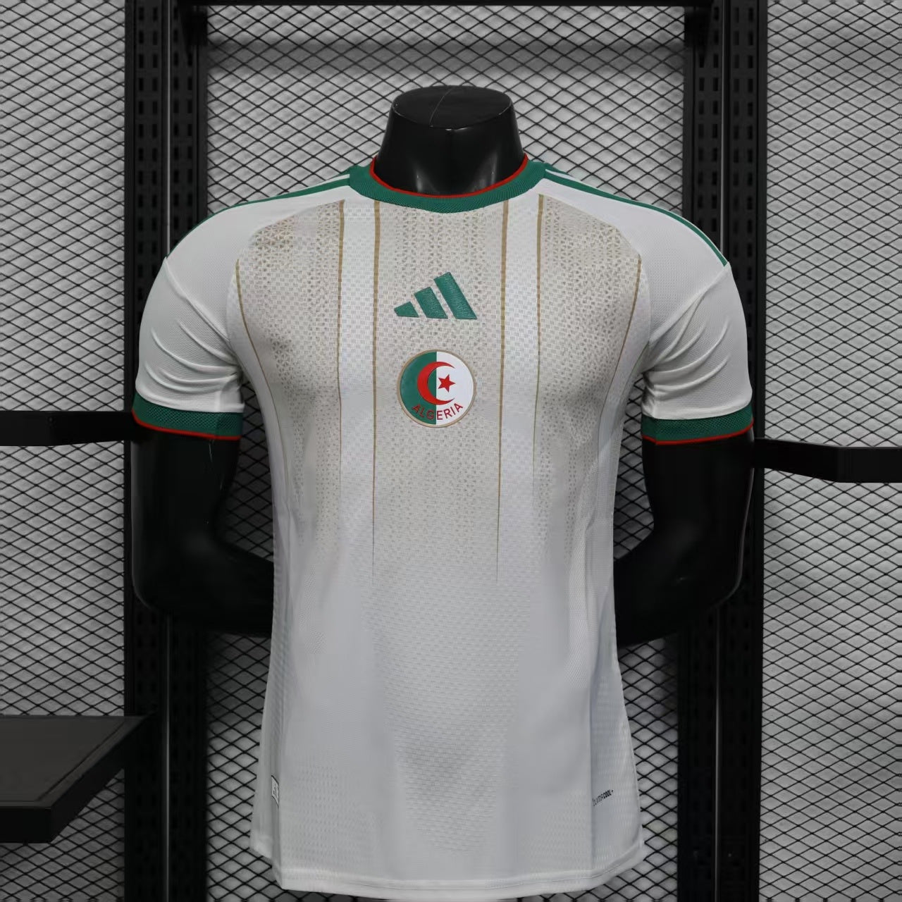 Algeria Mondiale 2026